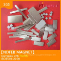 Customized neodymium magnet motor high grade N52 magnet